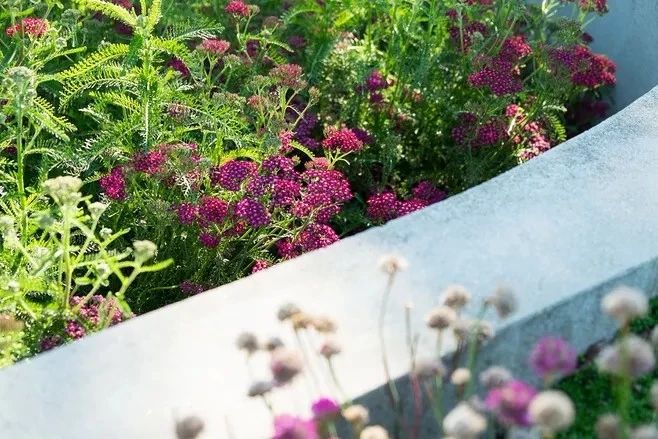 花境營(yíng)造，只要用對(duì)了方法，其實(shí)沒那么難