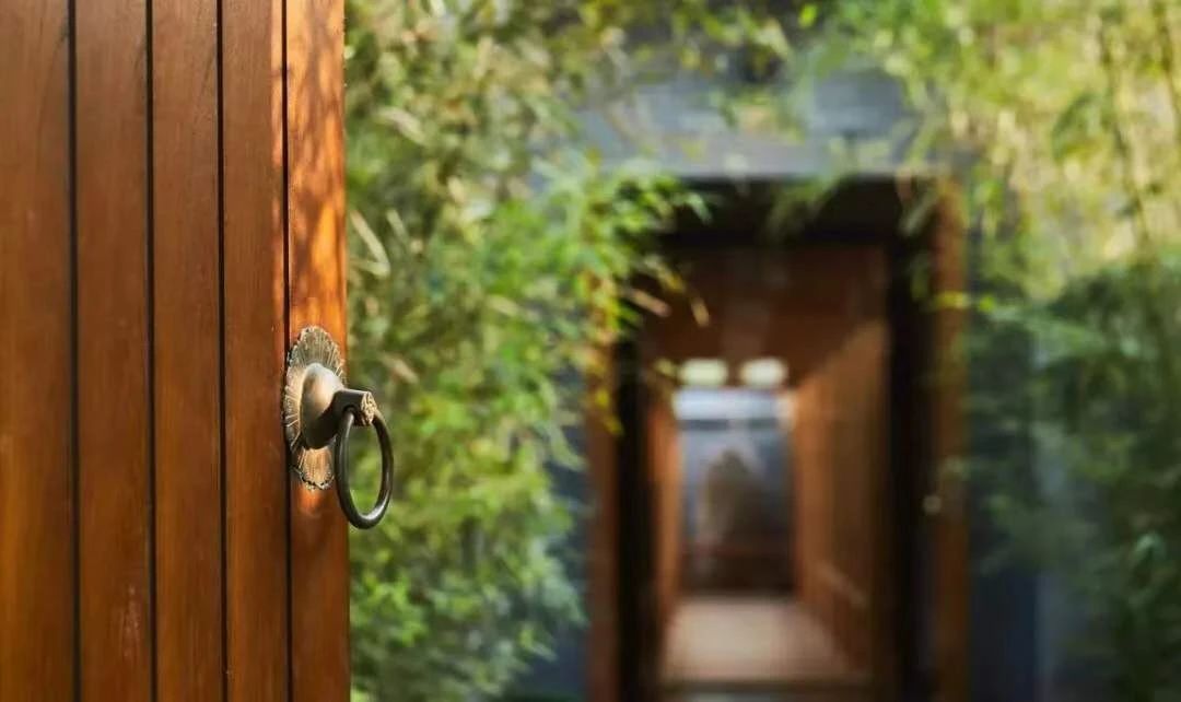 現(xiàn)代庭院也能有茂林修竹，種下一片清幽秀麗