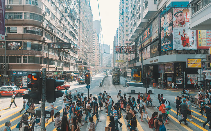 香港優才|用數據說話！香港優才計劃哪個行業人才更受青睞？如何取勝？