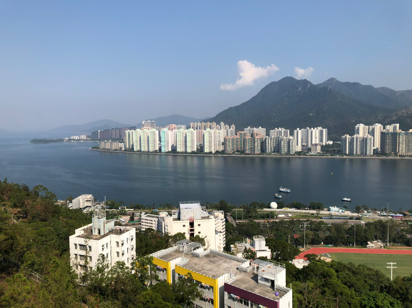 [實時焦點]揭秘丨優才計劃最新獲批數據出爐！為您移居香港指一條明路~
