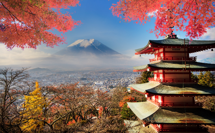 移居日本的中國人數(shù)多了4倍？看到這些原因，完全理解了！