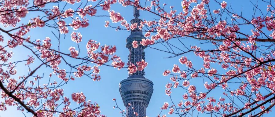 門檻猛翻6倍，還將新增這些要求？新政或在10月正式落地？